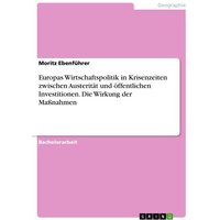 Europas Wirtschaftspolitik in Krisenzeiten zwischen Austerität und öffentlichen Investitionen. Die Wirkung der Maßnahmen