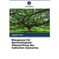 blaupause-fuer-nachhaltigkeit-ueberpruefung-des-indischen-szenarios