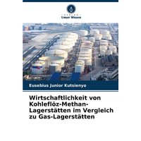 Wirtschaftlichkeit von Kohleflöz-Methan-Lagerstätten im Vergleich zu Gas-Lagerstätten