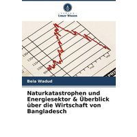 Naturkatastrophen und Energiesektor & Überblick über die Wirtschaft von Bangladesch