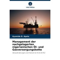 Management der nachgelagerten nigerianischen Öl- und Gasversorgungskette