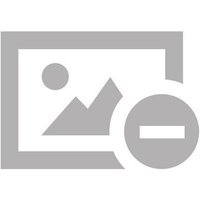 Politik, Jugend und Drogen