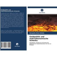 Geldpolitik und makroökonomische Schocks: