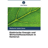 Elektrische Energie und Wirtschaftswachstum in Kamerun