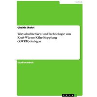 Wirtschaftlichkeit und Technologie von Kraft-Wärme-Kälte-Kopplung (KWKK)-Anlagen