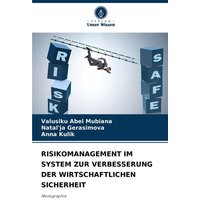 Risikomanagement im System Zur Verbesserung der Wirtschaftlichen Sicherheit