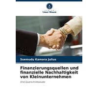 finanzierungsquellen-und-finanzielle-nachhaltigkeit-von-kleinunternehmen
