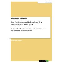 Die Ermittlung und Behandlung des immateriellen Vermögens