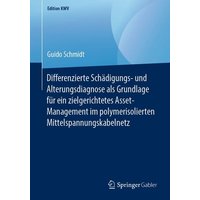 Differenzierte Schädigungs- und Alterungsdiagnose als Grundlage für ein zielgerichtetes Asset-Management im polymerisolierten Mittelspannungskabelnetz