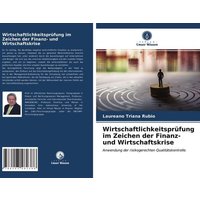 Wirtschaftlichkeitsprüfung im Zeichen der Finanz- und Wirtschaftskrise