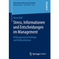 Stress, Informationen und Entscheidungen im Management