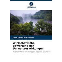 Wirtschaftliche Bewertung der Umweltauswirkungen