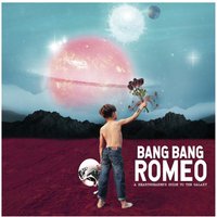 A Heartbreaker's Guide To The Galaxy Digital LP