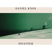 Disaster Dove Grey LP