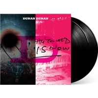 All You Need Is Now Double Vinyl