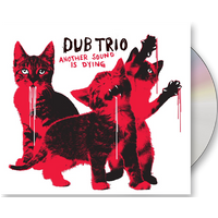 Another Sound Is Dying CD