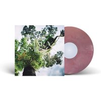 In This Place (Signed) Vinyl