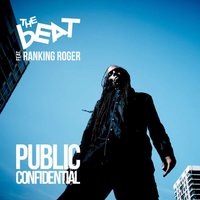 Public Confidential Download