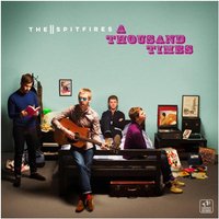 A Thousand Times Download