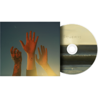 the record CD
