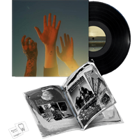 the record Vinyl