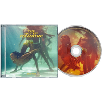 The Age Of Pleasure CD