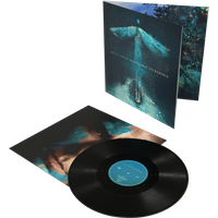 Inevitable Incredible Vinyl