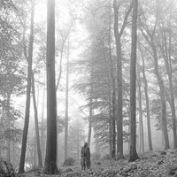Folklore (In The Trees) CD + Vinyl