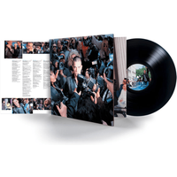 Life Thru A Lens Vinyl