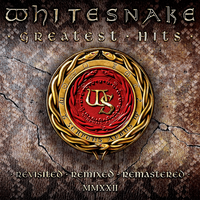 Greatest Hits Double Vinyl + CD/Blu-Ray