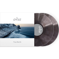 True North Recycled Double Vinyl