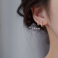 High-End Sense Hoop S Silver Needle Shiny Light Luxury Ear Buckle Temperament Trendy Women's Sweet Inlaid Diamond Circle