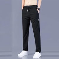 Clothing Straight leg versatile casual pants 2024 summer loose suit long pants ice silk thin high end