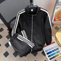 Clothing Casual Sporty Two Piece Set Stylish Versatile Relaxed Fit Harajuku Artistic Blue Gray Long Sleeve Inelastic Elasticity