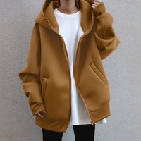 Clothing autumn winter style personalized street sweatshirt zipper loose hooded long velvet sweatshirt casual