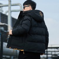 Clothing winter short cotton coat plush thick Silk cotton cotton coat style winter loose cotton coat