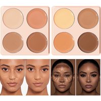 USHAS Concealer Eye Circle Lasting Non sticking Powder concealer 4 foundation make up