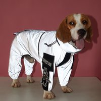 New Pet Reflective Full Coverage Four-Legged Large Trendy Dog Raincoat With Attachable Armbands