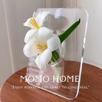 Creative Art Acrylic Photo Frame Vase Hydroponic Flower Arrangement Transparent Vase Office Homestay Decoration Ornaments