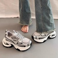 Mesh Breathable Dad Shoes Thick Sole Height Increase Thin Lightweight Versatile Casual Sports Shoes Trend