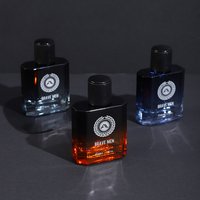Men’s Perfumes WARMKISS Brave Men’s Perfume Lasting Fragrance Mature Men Fragrance Perfume