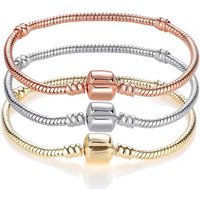 Charm Bracelets Popular Snake Bone Bracelet DIY Beaded Pendant Jewelry Making Exquisite Gift Jewelry Bracelet