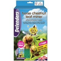 Defenders Horse Chestnut Leaf Miner Pheromone Traps