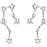 Ever Faith Aquarius Zodiac Constellation Cubic Zirconia Stud Earrings