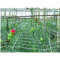 Tenax decoratief pvc-klimrek - wit, 100 x 300 cm