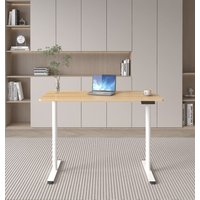Loctek Ergonomic Standing Desk, Electric Height-Adjustable Desk, 120 x 60cm, Super Deals, Oak Top