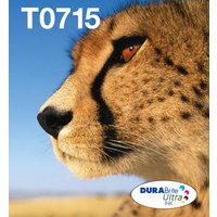 Epson multipack 4 kleuren T071 EasyMail