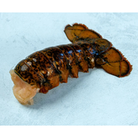 Canadian lobster tail 120g