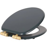 Harbour Housewares Soft Close Wooden Toilet Seat - Blue/Gold