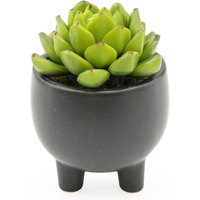 Candlelight Artificial Echeveria Succulent in Ceramic Pot 7.4cm